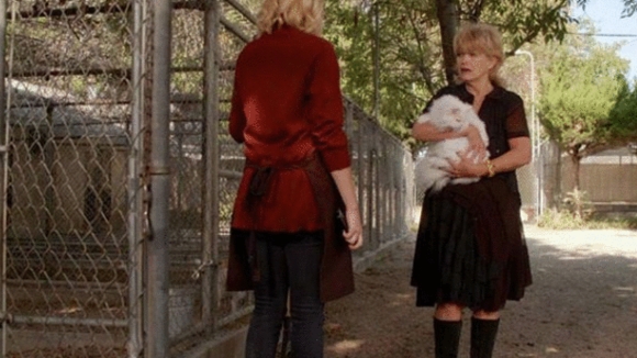 Photo from the movie The Dog Who Saved Easter