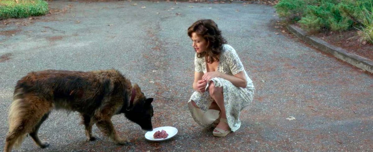 Photo from the movie Gerald's Game