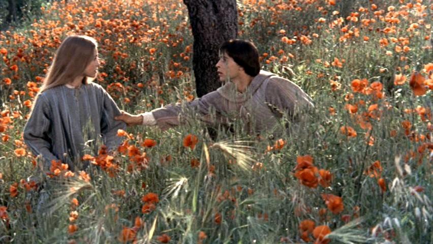 Photo from the movie Brother Sun, Sister Moon