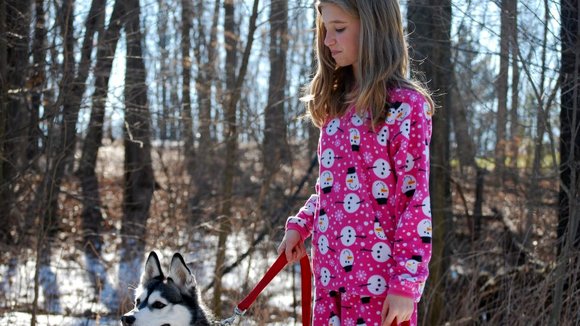 Photo from the movie A Dog for Christmas