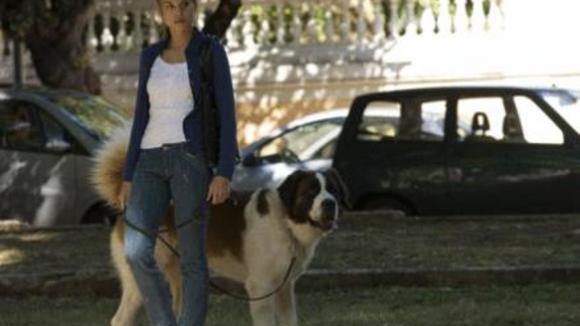 Photo from the movie Quiet Chaos