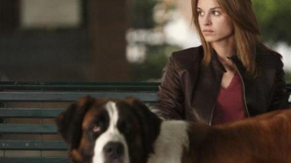 Photo from the movie Quiet Chaos