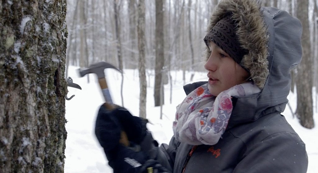 Photo from the movie Le Goût d'un pays