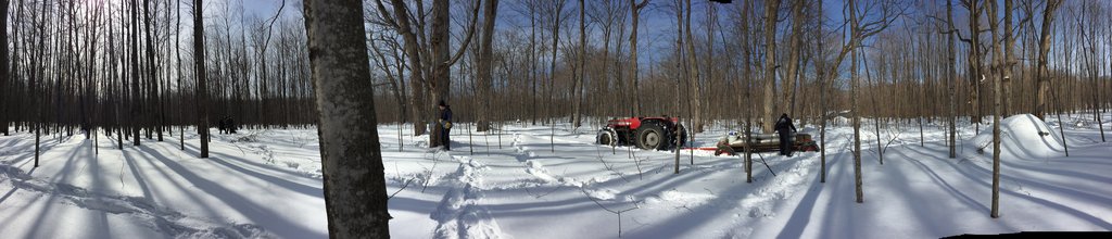 Photo from the movie Le Goût d'un pays