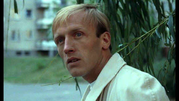 Photo from the movie Decalogue 6: Thou Shalt Not Commit Adultery