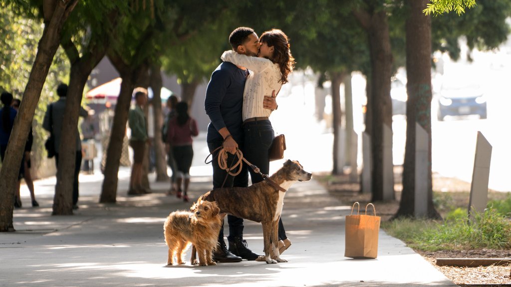 Photo from the movie Dog Days