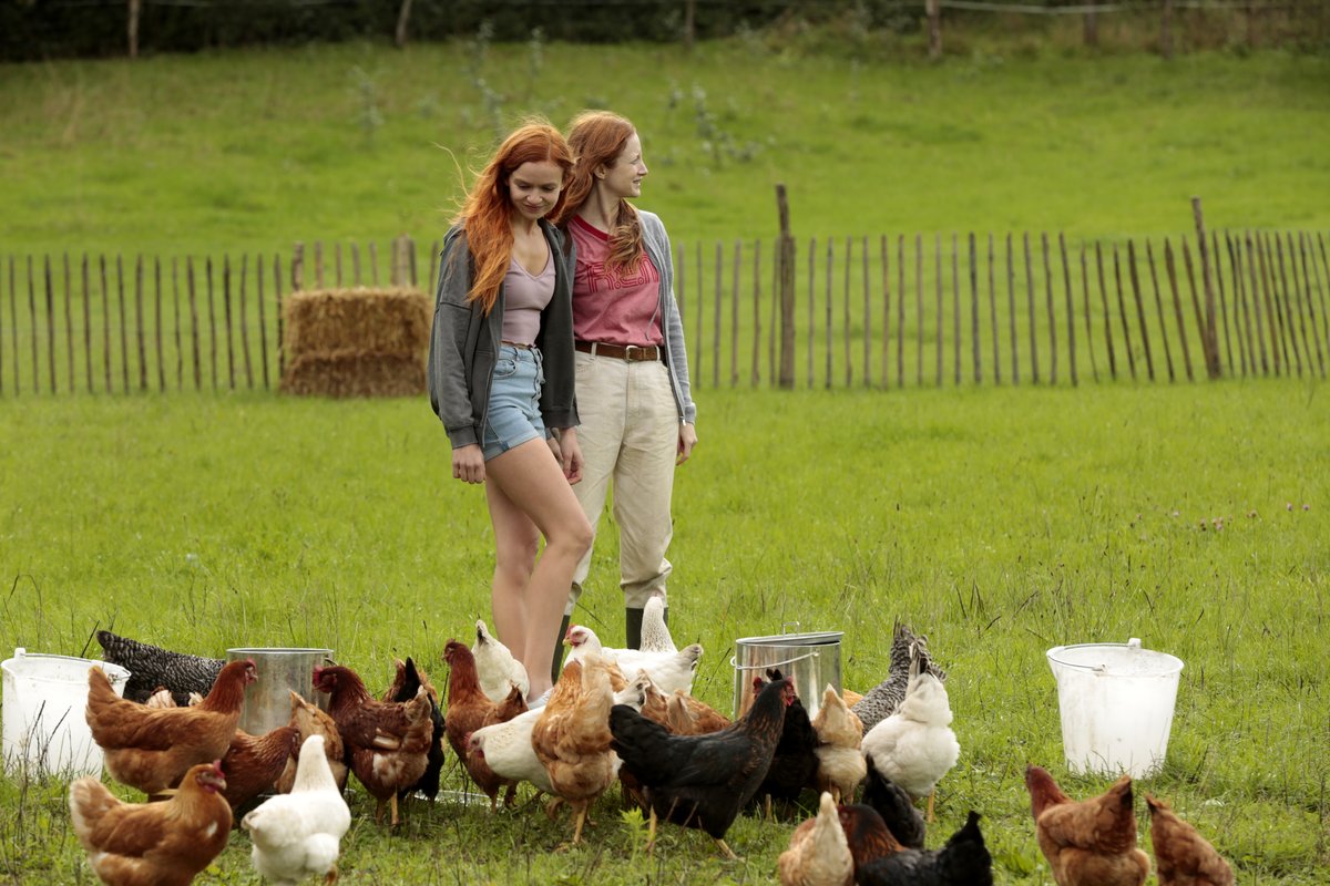 Photo from the movie Funny Birds