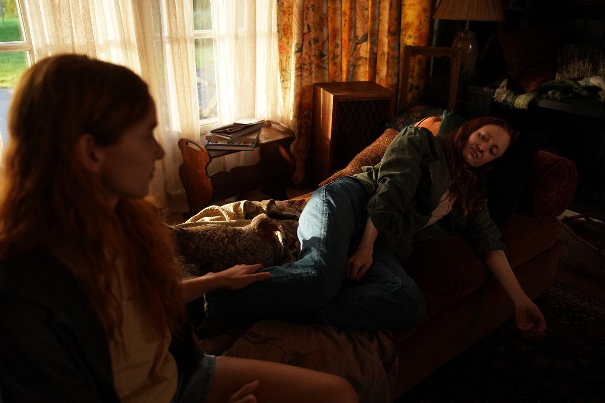 Photo from the movie Funny Birds