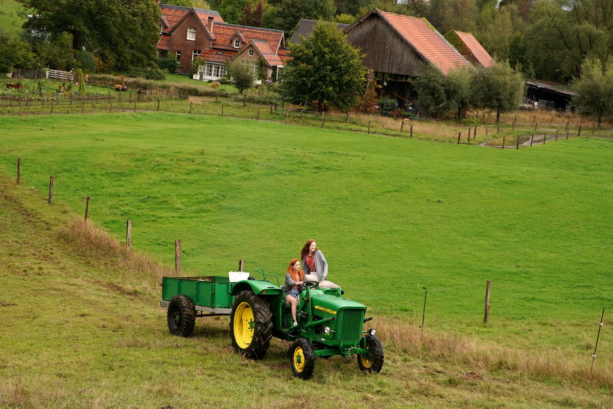 Photo from the movie Funny Birds