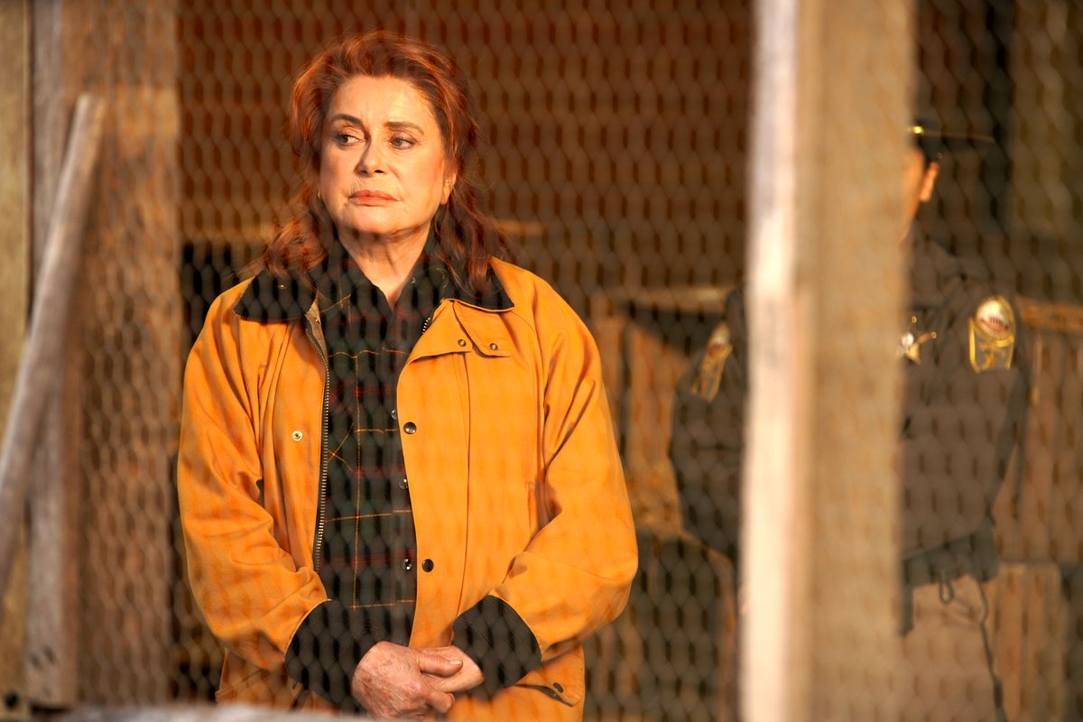 Photo from the movie Funny Birds