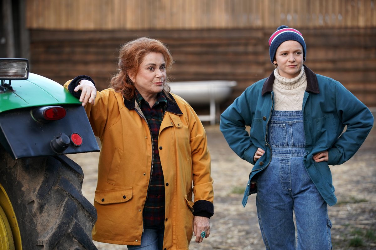 Photo from the movie Funny Birds