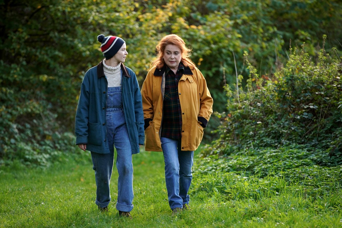 Photo from the movie Funny Birds