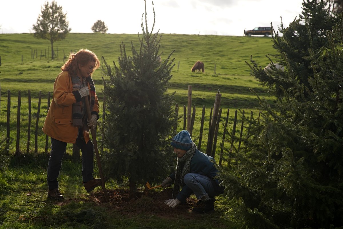 Photo from the movie Funny Birds