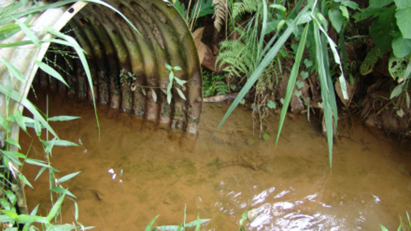 Photo from the movie Keepers of Eden