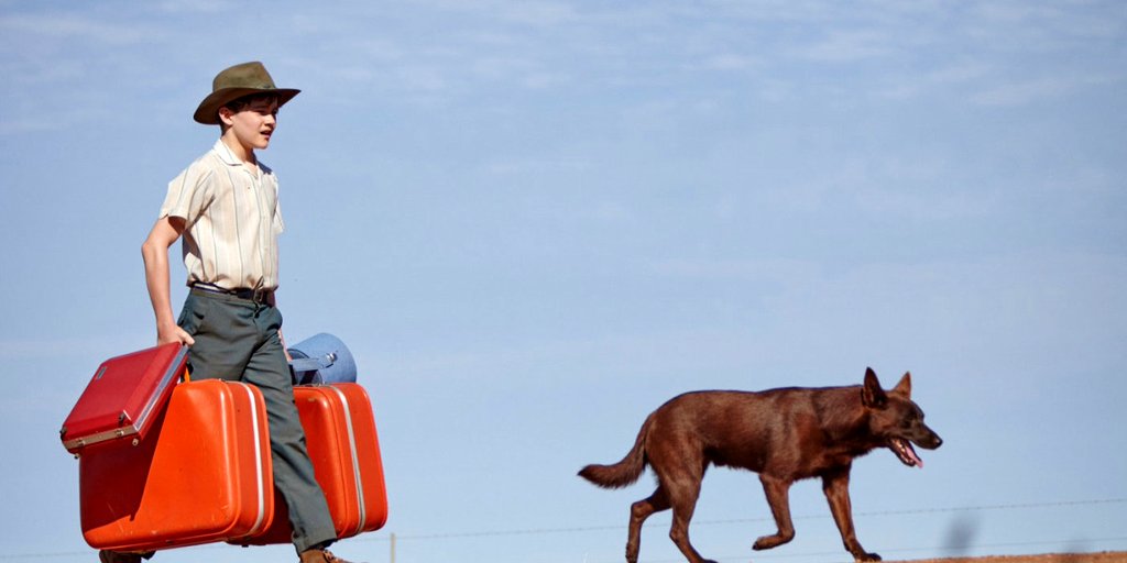 Photo from the movie Red Dog: True Blue