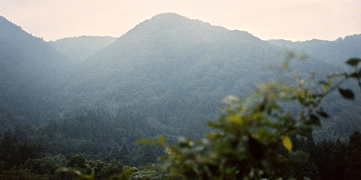 Photo from the movie The Works and Days, of Tayoko Shiojiri in the Shiotani Basin