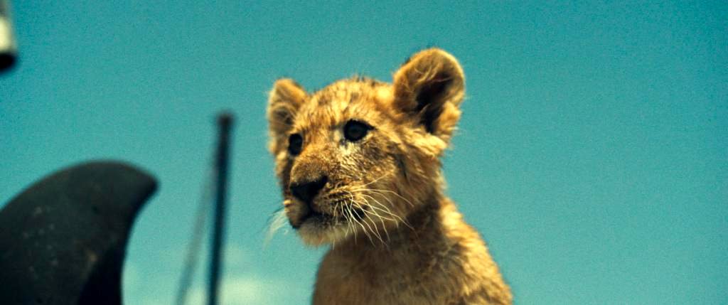 Photo from the movie King