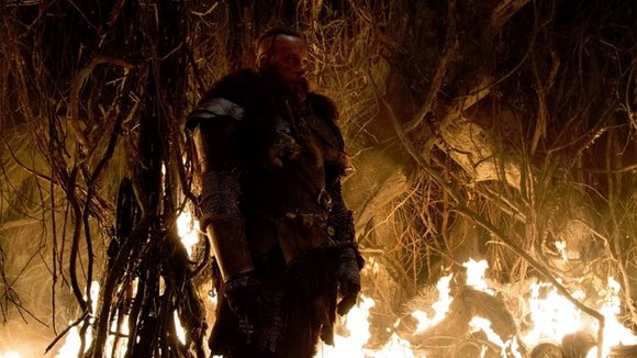 Photo from the movie The Last Witch Hunter