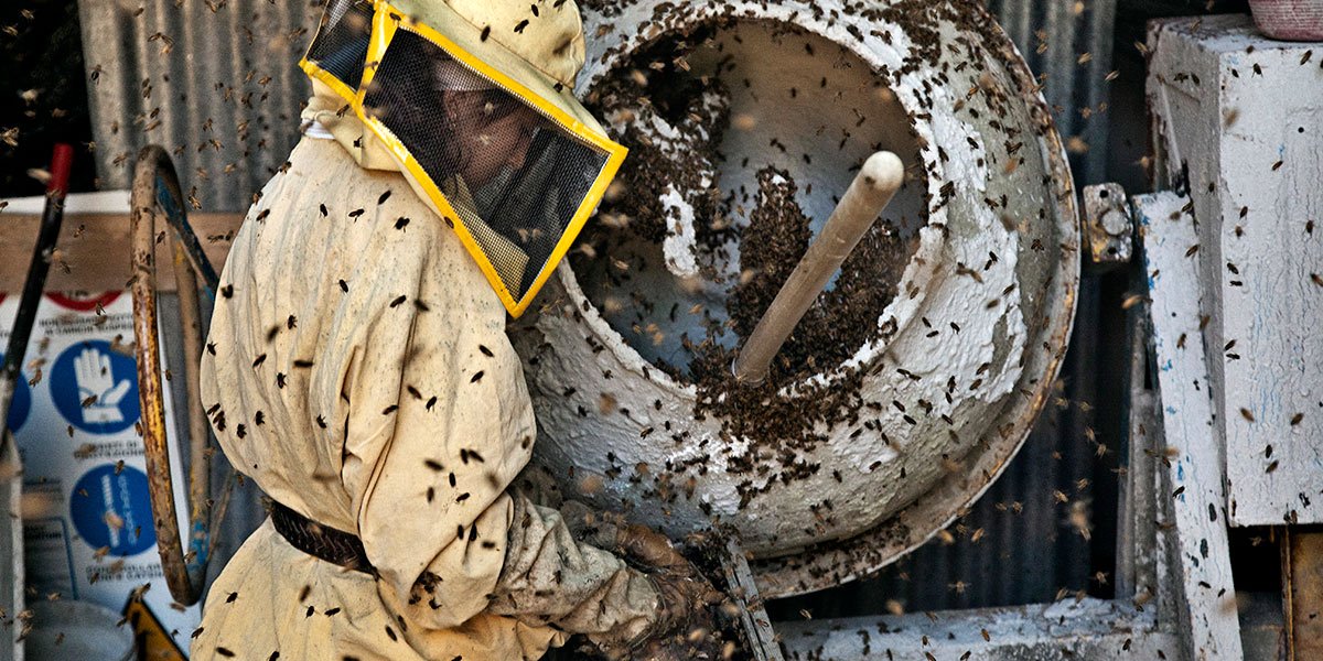 Photo from the movie The Wonders