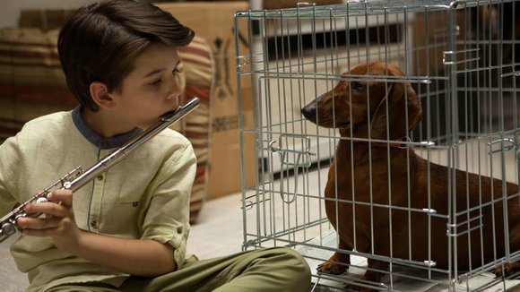 Photo from the movie Wiener-Dog