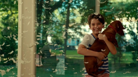 Photo from the movie Wiener-Dog