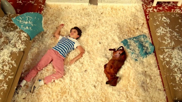 Photo from the movie Wiener-Dog