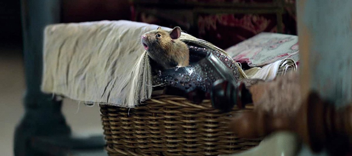 Photo from the movie Cinderella