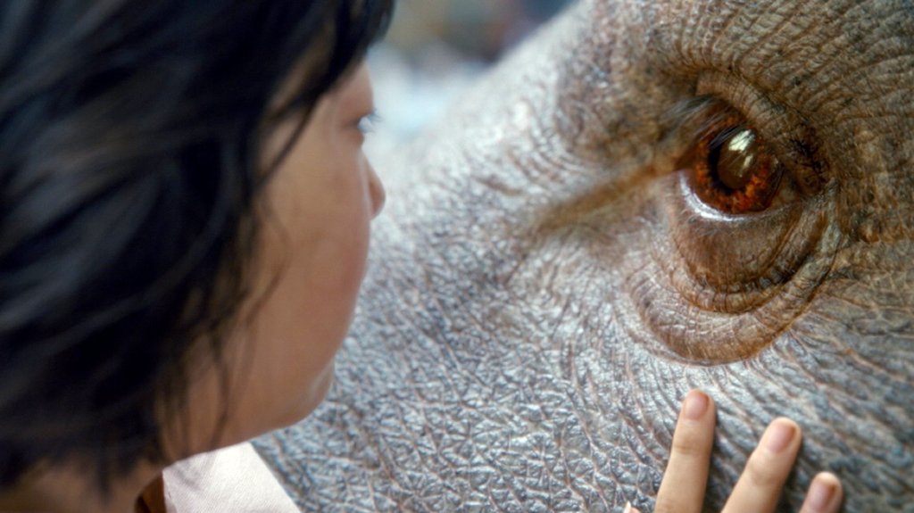 Photo from the movie Okja