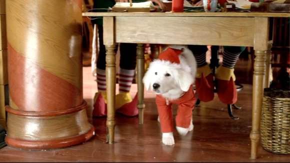 Photo from the movie Santa Buddies