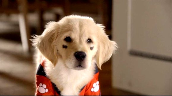 Photo from the movie Santa Buddies