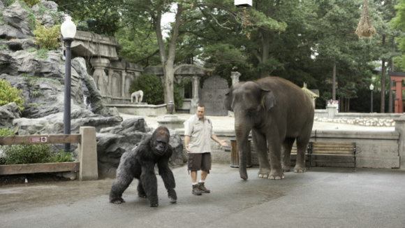 Photo from the movie The Zookeeper