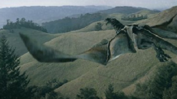 Photo from the movie D-War