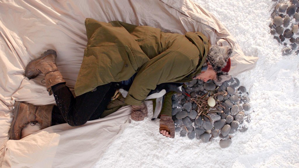 Photo from the movie Mr. Popper's Penguins