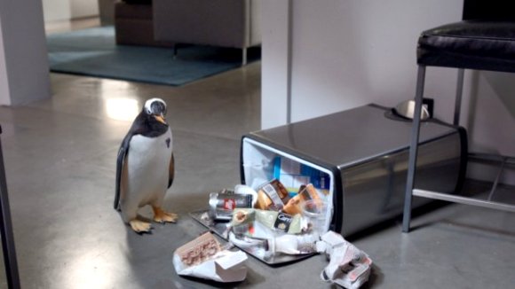 Photo from the movie Mr. Popper's Penguins