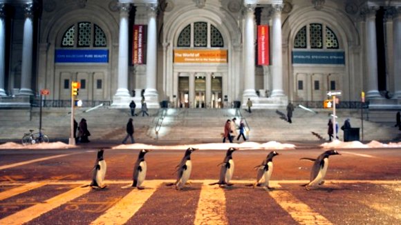 Photo from the movie Mr. Popper's Penguins