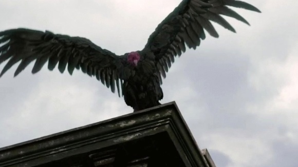 Photo from the movie Pay the Ghost