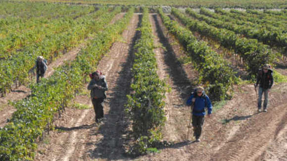 Photo from the movie The Way