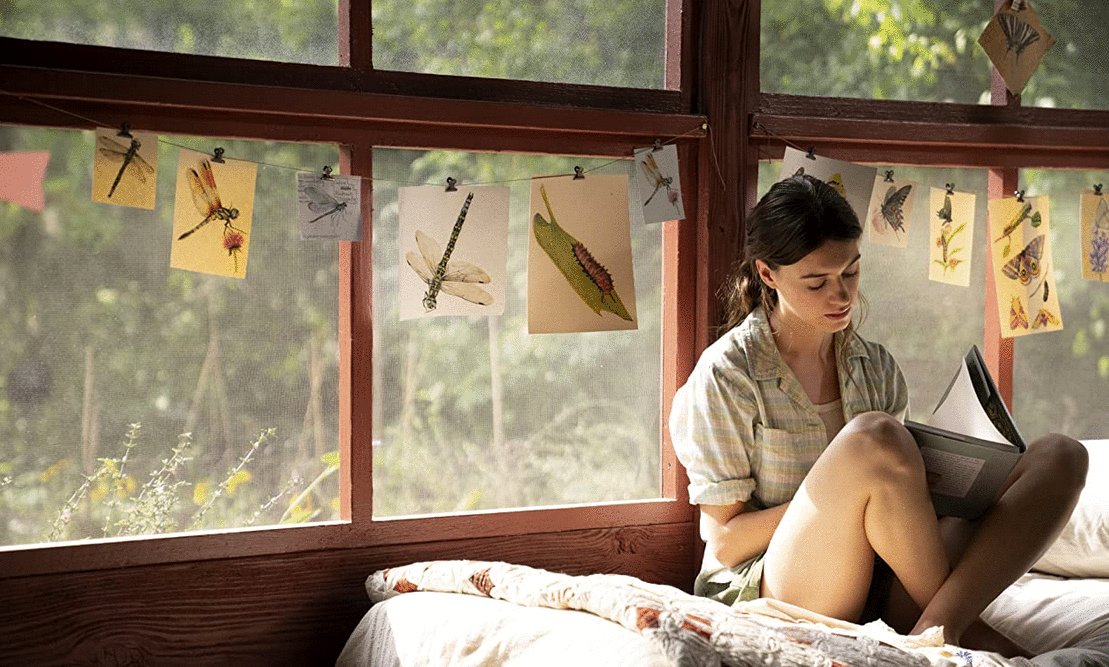 Photo from the movie Where the Crawdads Sing