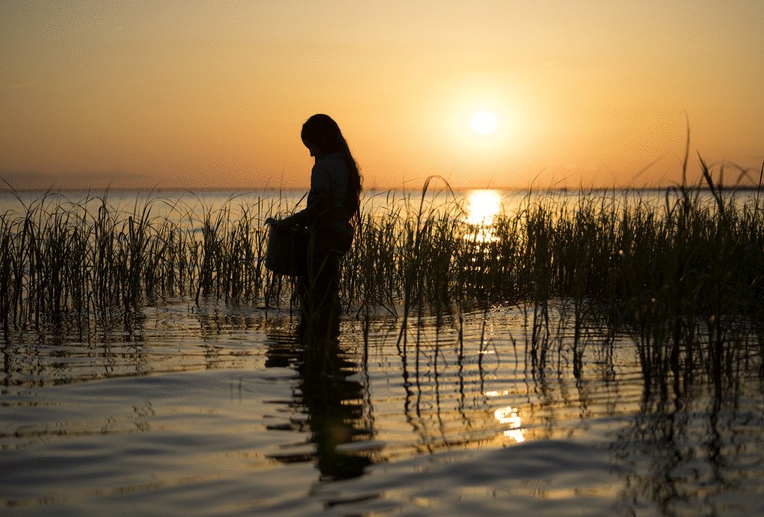 Photo from the movie Where the Crawdads Sing