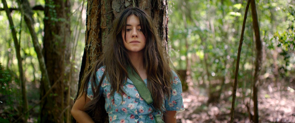 Photo from the movie Where the Crawdads Sing