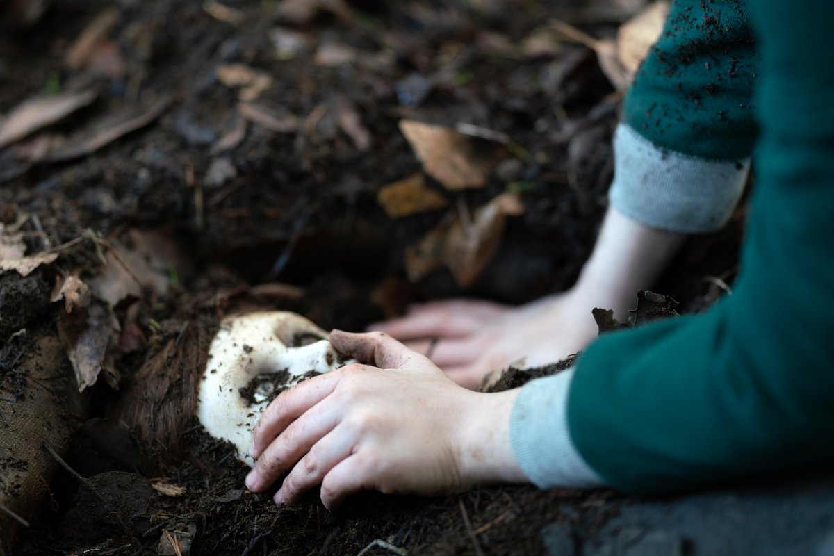 Photo from the movie Brahms: The Boy II