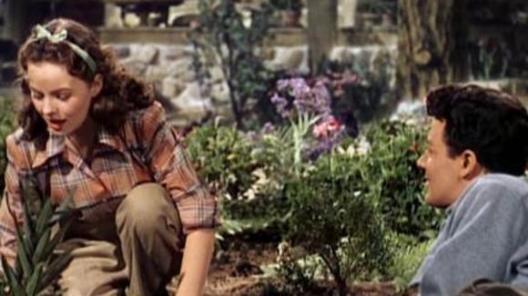 Photo from the movie Leave Her To Heaven