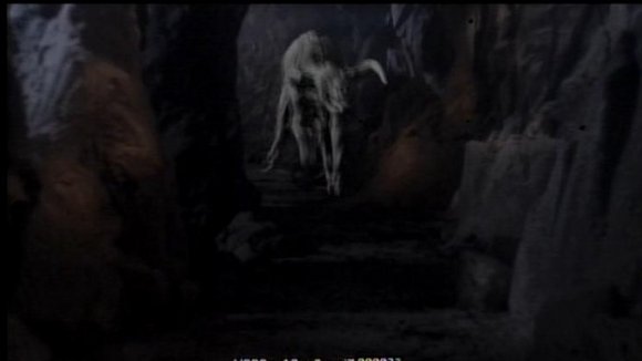 Photo from the movie Minotaur