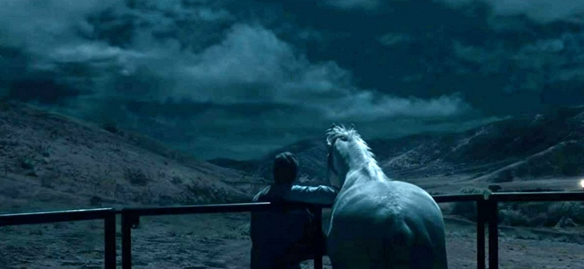 Photo from the movie Nope