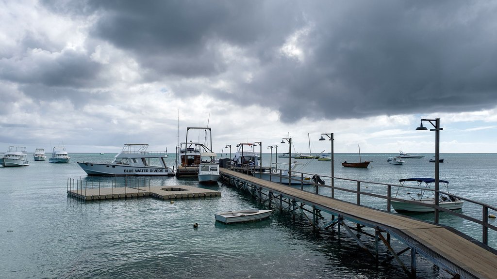 Photo from the movie Serenity