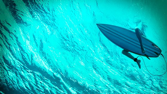 Photo from the movie The Shallows