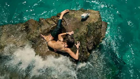 Photo from the movie The Shallows