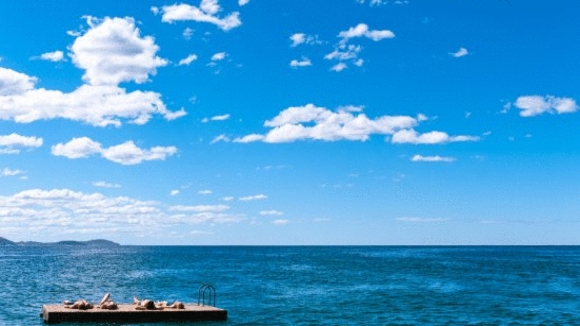 Photo from the movie Adore