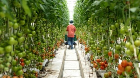 Photo from the movie La Misma luna