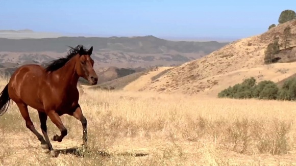 Photo from the movie Love Thy Nature